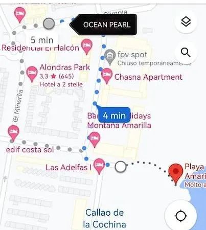 Apartment Ocean Pearl Tenerife Sud Arona (Tenerife)